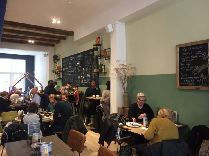 BROWNIE EN DOWNIE brownies & downies haarlem buitengewoonanders hotspot