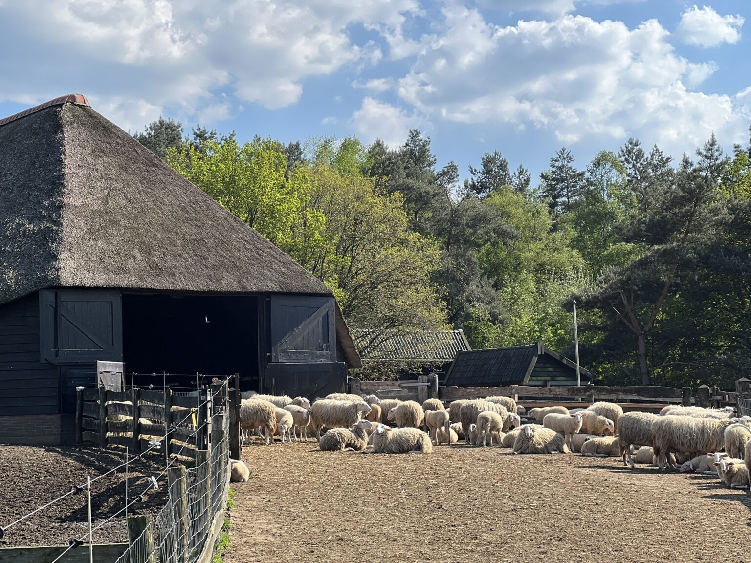 Slapen bij de boer| Boerenbed • Buitengewoonanders