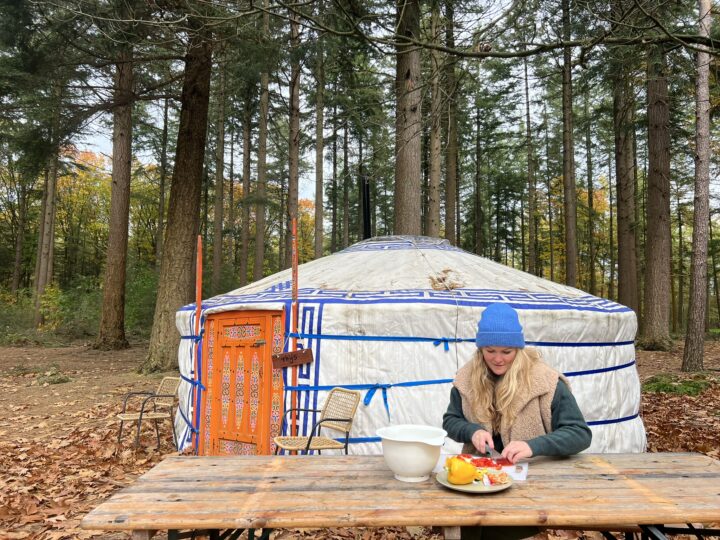 winterwoods drenthe kamperen yurt